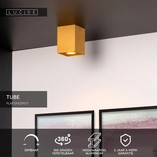 Lucide TUBE - Plafondspot - 1xGU10 - Mat Goud / Messing - USP